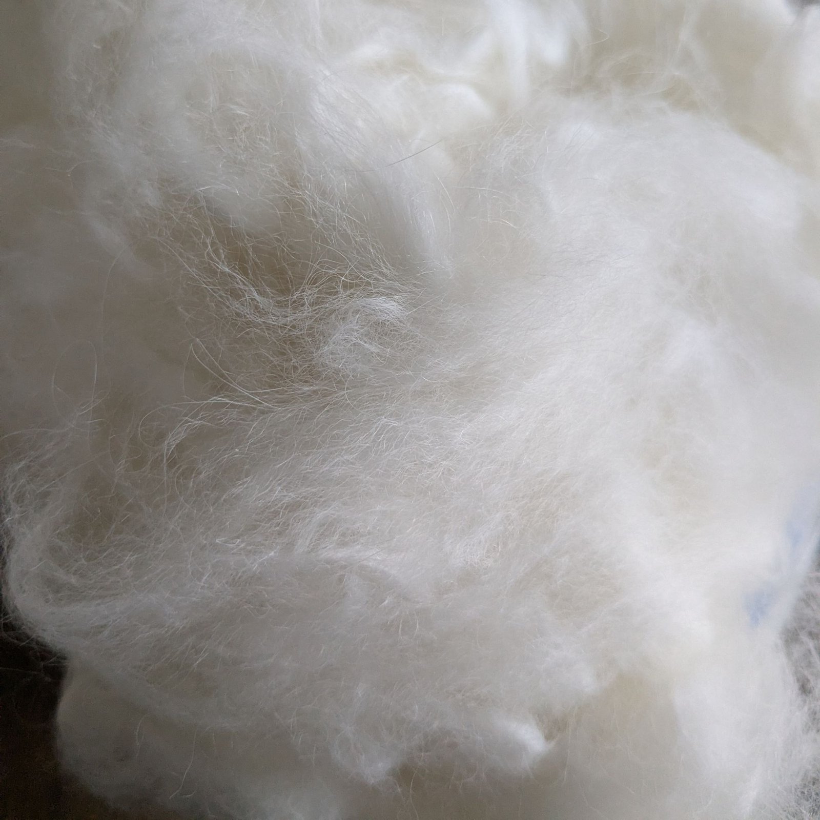 Angora Rabbit- 11oz