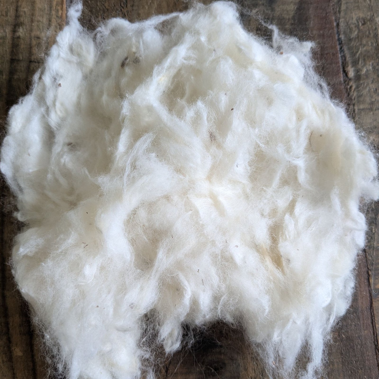 Ginned Organic Cotton 1 lb
